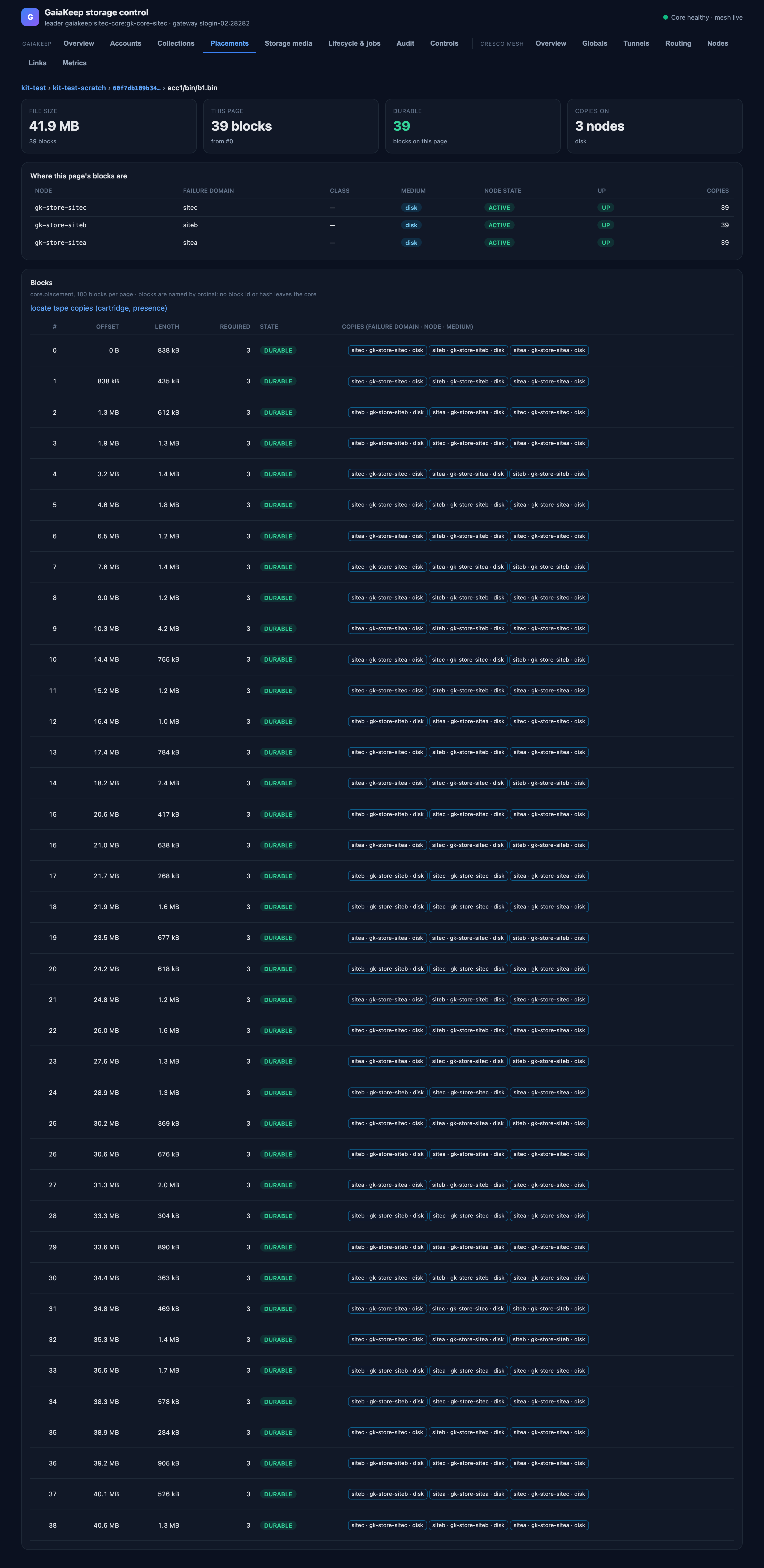 The Placements drill-down at the file level: the file's blocks, each with its copies as chips naming site, node and medium